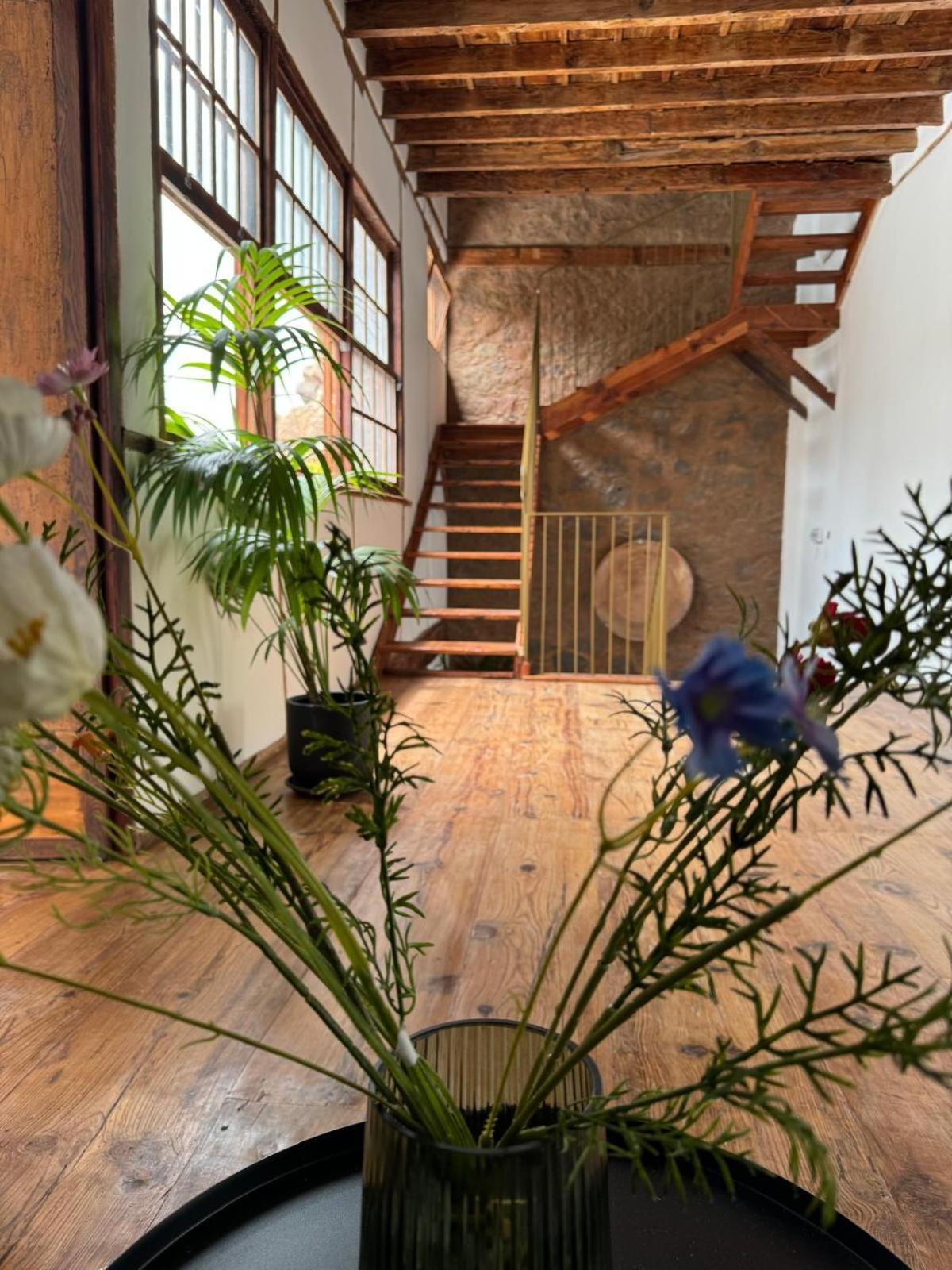 Laguna Cool Living La Laguna  Dış mekan fotoğraf